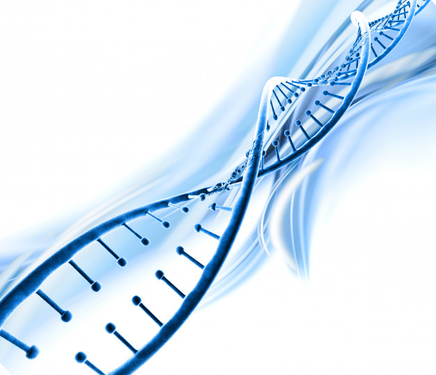 3D DNA strand illustration representing values as DNA